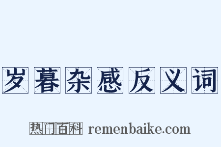 岁暮杂感反义词是什么意思的图片